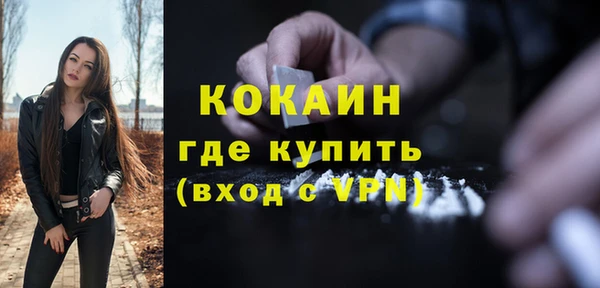 кокс Алексин
