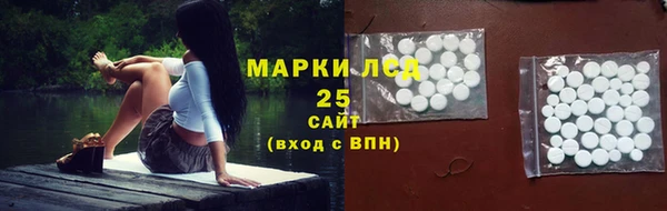 ПСИЛОЦИБИНОВЫЕ ГРИБЫ Алзамай