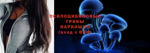 ПСИЛОЦИБИНОВЫЕ ГРИБЫ Алзамай