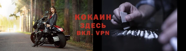 кокс Алексин