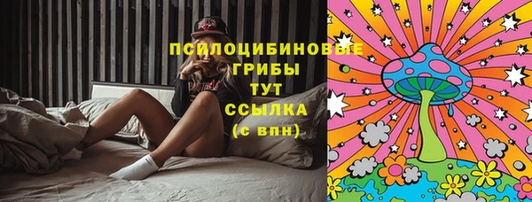 кокс Алексин