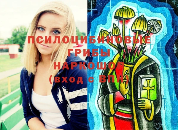 кокс Алексин