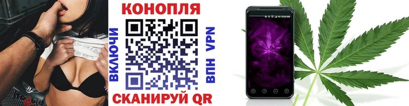 Бошки Шишки марихуана  как найти закладки  Шебекино 